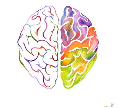 Cover image for research topic "Molecular and Cellular Logic of Cerebral Cortex Development, Evolution, and Disease"