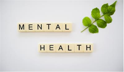 Cover image for research topic "Mental Health in Primary Health Care"