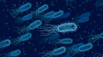 Cover image for research topic "Novel Strategies for the Control of Zoonotic Bacteria"