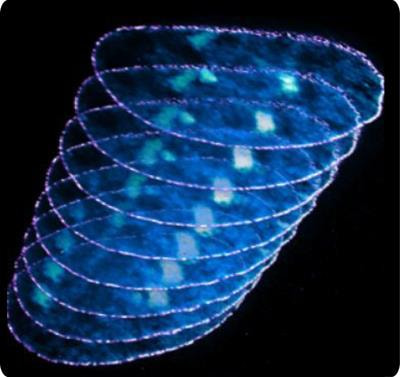 Cover image for research topic "The Nucleus as a Sensor and Actuator of Cell Form and Function"