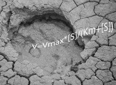 Cover image for research topic "50 years after Pirt; from microbial physiology and ecology to quantitative biogeochemistry"