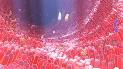 Cover image for research topic "Host-Microbiota and Cancer"