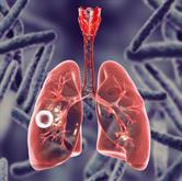Cover image for research topic "Mycobacteria-Host Interactions: Genetics, Immunity, Pathology Volume II"