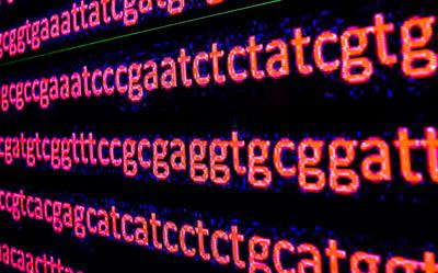 Cover image for research topic "Long-read sequencing - pitfalls, benefits and success stories"