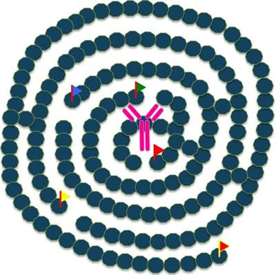 Cover image for research topic "Epigenetics of B Cells and Antibody Responses"