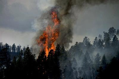 Cover image for research topic "Forest Fire Emissions and Their Impact on Global Climate Change"
