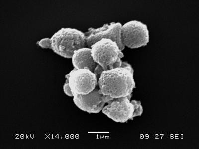 Cover image for research topic "Novel clinical applications of extracellular vesicles"