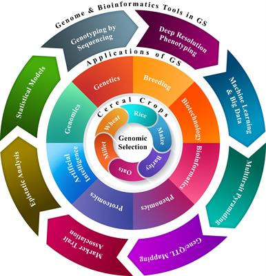 Cover image for research topic "Genomic Selection and Characterization in Cereals"