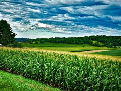 Cover image for research topic "Integrated Organic Farming Systems: Approach for Efficient Food Production and Environmental Sustainability"