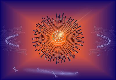 Cover image for research topic "Characterizing the Uncharacterized Human Proteins"