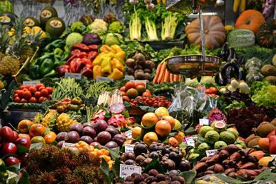 Cover image for research topic "Recent Advances and Approaches in the Application of Elicitors to Enhance Resistance Mechanisms in Fresh Produce"