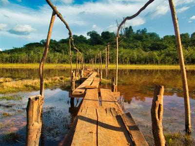 Cover image for research topic "Biodiversity in a changing world: How do species traits reflect anthropogenic changes in aquatic ecosystems?"