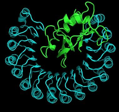 Cover image for research topic "Repetitive structures in biological sequences: algorithms and applications"