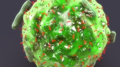 Cover image for research topic "Novel Insights into Inflammatory Roles of Mast Cells and Basophils"