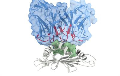 Cover image for research topic "Quantification and Prediction of T-cell Cross-reactivity Through Experimental and Computational Methods"