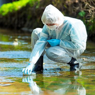 Cover image for research topic "Frontiers in Environmental Science – Editor’s Picks 2021"