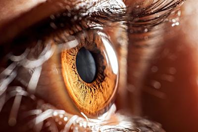 Cover image for research topic "Oculomics: Insights into Systemic Disease through Ophthalmic Biomarkers"
