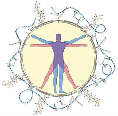 Cover image for research topic "Emerging Topics at the Intersection of Glycoscience and Human Health"