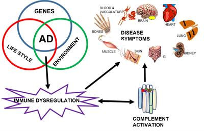 Cover image for research topic "The Complement System in Autoimmunity"