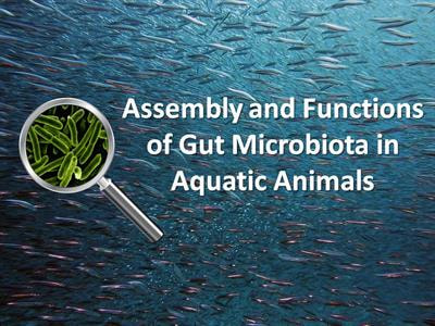 Cover image for research topic "Assembly and Functions of Gut Microbiota in Aquatic Animals"