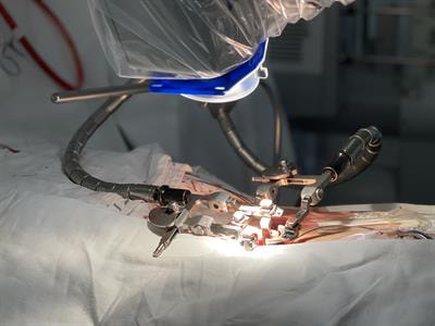 Cover image for research topic "MISS innovations: Approaches, Predictive Outcomes and Risk Avoidance"