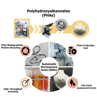 Cover image for research topic "Current Challenges in Biodegradable Polyhydroxyalkanoates: From The Cradle To The Grave"