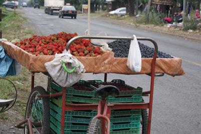 Cover image for research topic "Food Consumption Disparities, Public Health and Sustainability in Latin America and the Caribbean"