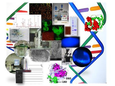 Cover image for research topic "New dimensions in molecular approaches to insect proteins and enzymes"