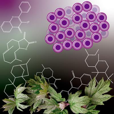 Cover image for research topic "Natural Compounds as Scaffolds for the Discovery of New Anti-Cancer Drugs: Focus on Terpenoids and Flavonoids"
