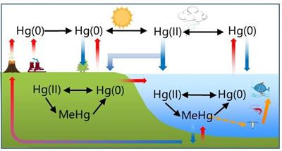 Cover image for research topic "Novel Insights into Mercury Sources and Behavior in the Surface Earth Environment"
