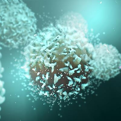 Cover image for research topic "Natural Killer cell plasticity and diversity in antiviral immunity"