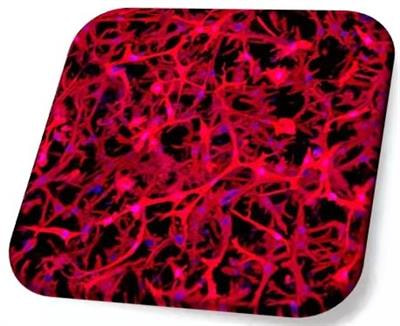 Cover image for research topic "Biomedical Applications of Natural Polymers"