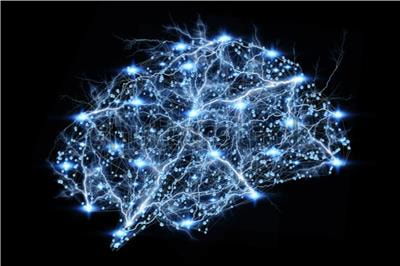 Cover image for research topic "Large-scale Recording of Neuronal Activity at High Spatiotemporal Resolutions and Applications in Neuroscience"