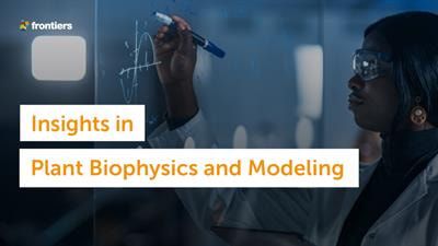 Cover image for research topic "Insights in Plant Biophysics and Modeling: 2021"