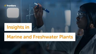 Cover image for research topic "Insights in Marine and Freshwater Plants: 2021"
