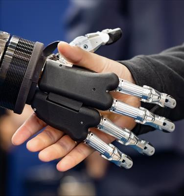 Cover image for research topic "Narrow and General Intelligence: Embodied, Self-Referential Social Cognition and Novelty Production in Humans, AI and Robots"