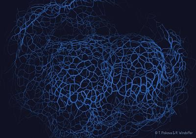 Cover image for research topic "3D Architecture of Intermediate Filaments in Tissue Mechanics and Function"