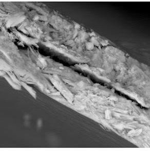 Cover image for research topic "Marine Biological Materials: Functional Mechanisms and Environmental Impacts from the Molecular to the Macro-Scale"