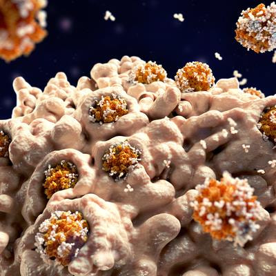 Cover image for research topic "Macrophages in Cardiovascular Diseases"