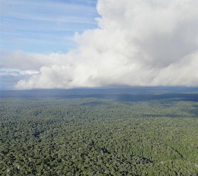 Cover image for research topic "Forest-Climate Interactions and the Climate Consequences of Forest-Cover Change"