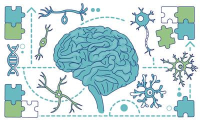 Cover image for research topic "Molecular Advances and Applications of Machine Learning in Understanding Autism and Comorbid Psychiatric Disorders"