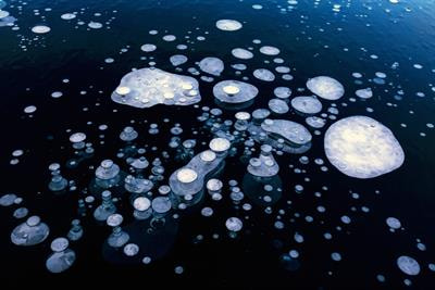 Cover image for research topic "Exploration of Cold-Adapted Microorganisms For Sustainable Development"