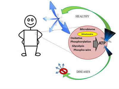 Cover image for research topic "Energy Metabolism and Diseases"