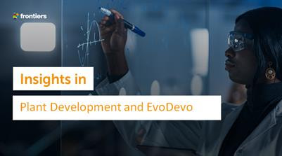 Cover image for research topic "Insights in Plant Development and EvoDevo: 2021"