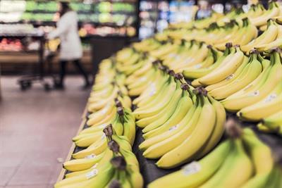 Cover image for research topic "Sustainable Postharvest Management Practices for Fresh Produce"