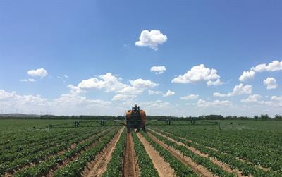 Cover image for research topic "Environmental Impacts of Pesticides: Environmental Fate, Ecotoxicology, Risk Assessment, and Remediation"