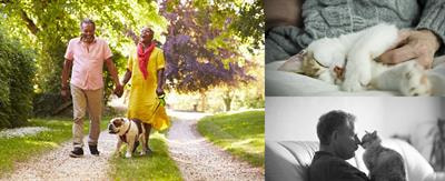 Cover image for research topic "The Benefits and Challenges of Pets for Adults with Disability or Long-Term Health Conditions"