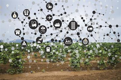 Cover image for research topic "Law, Policy and the Governance of Sustainable Food Systems"