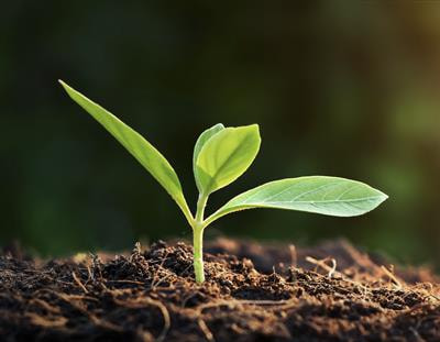 Cover image for research topic "Land-Management Solutions for Managing Ecological and Energy Transitions"