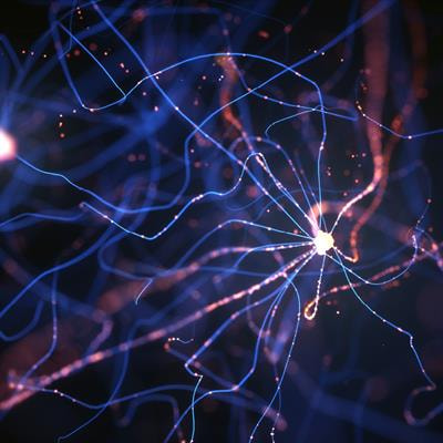 Cover image for research topic "The Synaptic Basis of Neuropathology"